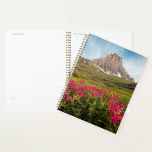 Flowers Montana's Glacier National Park Planner