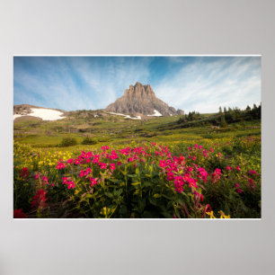 Flowers   Montana's Glacier National Park Poster
