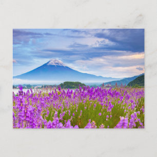 Flowers   Mount Fugi Japan Postcard