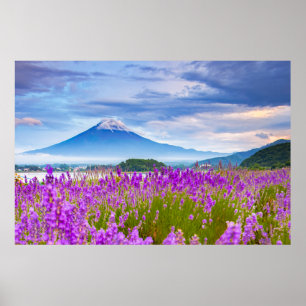 Flowers   Mount Fugi Japan Poster
