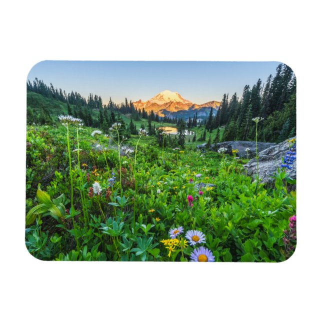 Flowers | Mount Rainier National Park Magnet (Horizontal)