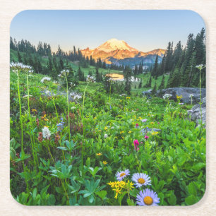 Flowers Mount Rainier National Park Square Paper Coaster
