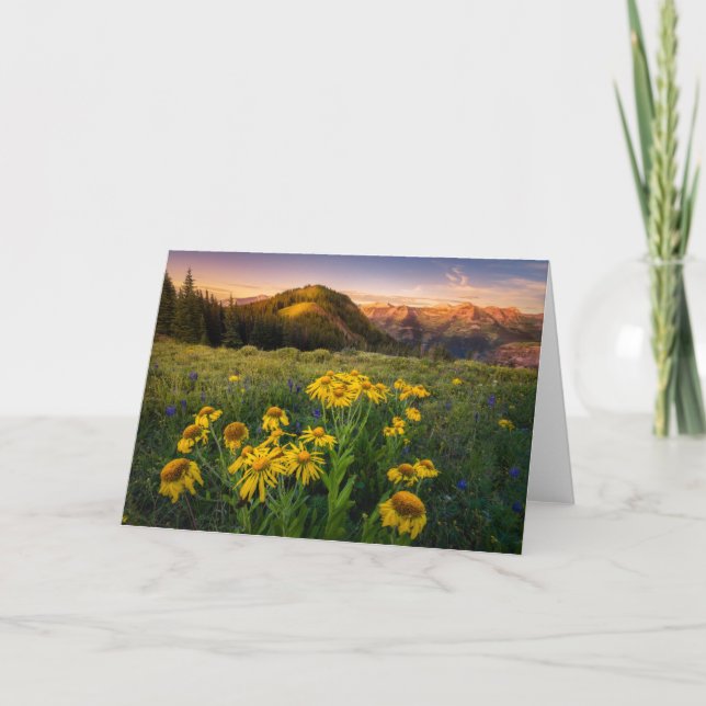 Flowers | Mountain Meadow Crested Butte Colorado Card (Front)