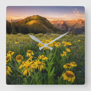 Flowers   Mountain Meadow Crested Butte Colorado Square Wall Clock