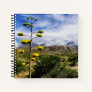 Flowers, Mountain Range Big Bend National Park Notebook