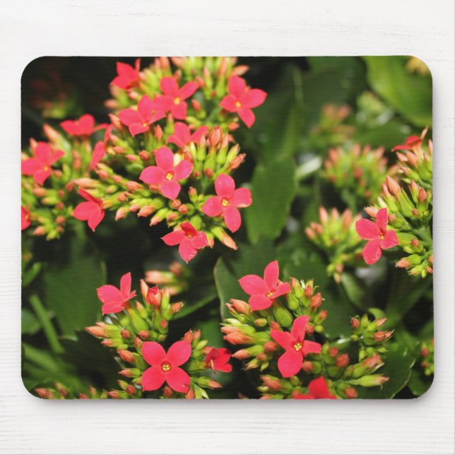 flowers mouse mat (Front)