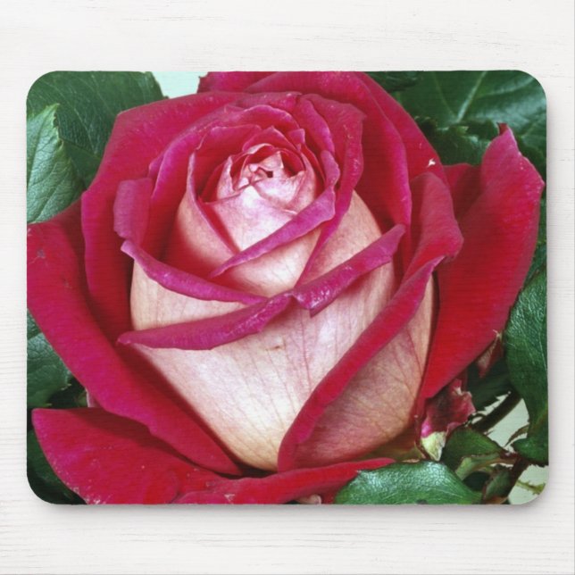 Flowers Mouse Pad (Front)