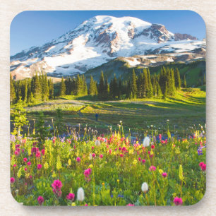 Flowers Mt. Rainier Wildflowers Coaster