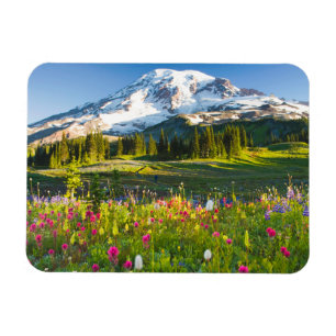 Flowers   Mt. Rainier Wildflowers Magnet