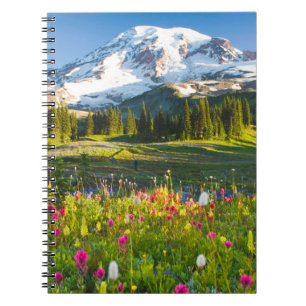 Flowers   Mt. Rainier Wildflowers Notebook