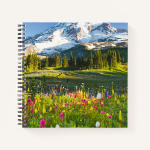 Flowers   Mt. Rainier Wildflowers Notebook