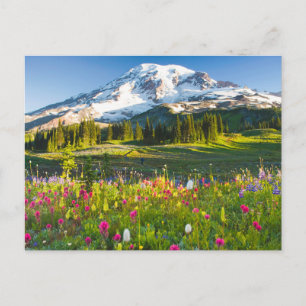 Flowers   Mt. Rainier Wildflowers Postcard