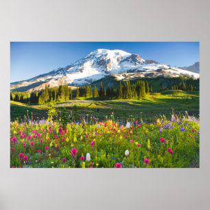Flowers   Mt. Rainier Wildflowers Poster