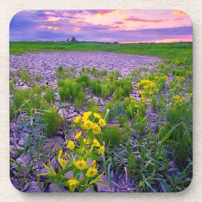 Flowers | North Dakota Red River Valley Coaster (Front)
