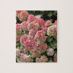 Flowers of a French hydrangea (Hydrangea macrophyl Jigsaw Puzzle