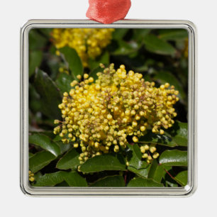 Flowers of a Oregon grape bush Metal Tree Decoration