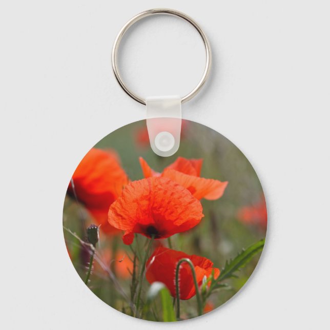 Flowers of common poppy in a field. key ring (Front)
