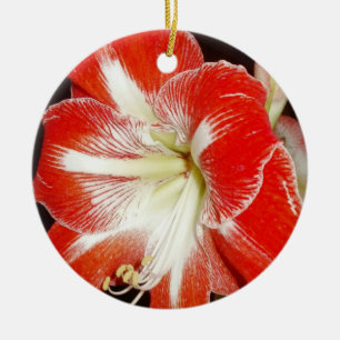 Flowers of Faith 2 Corinthians Amaryllis Ornament