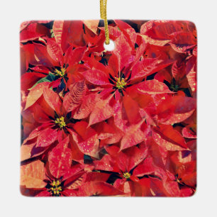 Flowers of Faith Isaiah Poinsettia Ornament