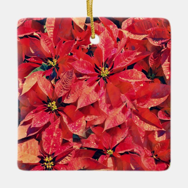 Flowers of Faith Isaiah Poinsettia Ornament (Front)
