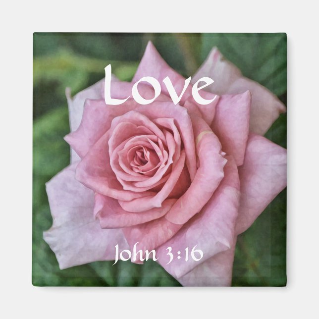 Flowers of Faith John 3:16 Rose Magnet (Front)