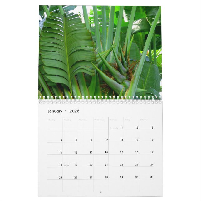 Flowers of Hawaii Calendar (Jan 2026)
