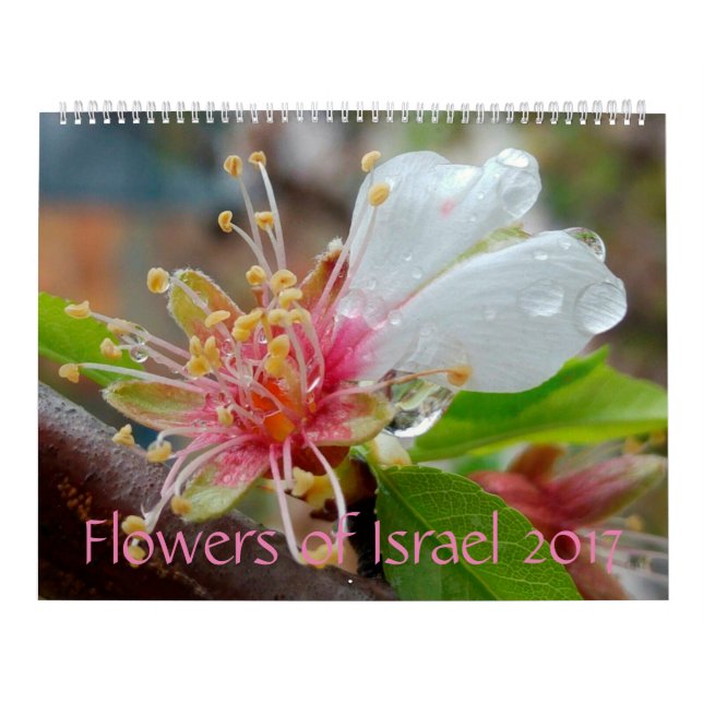 Flowers of Israel: 2017 Calendar (Cover)