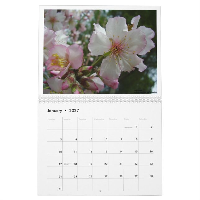 Flowers of Israel Calendar (Jan 2027)
