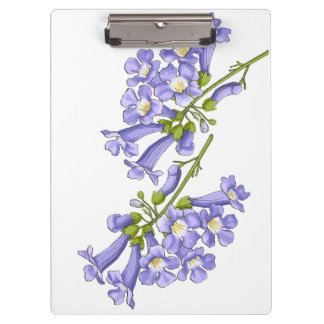 Flowers of Jacaranda Brazil Clipboard