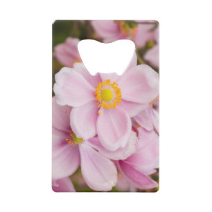 Flowers of Japanese anemone