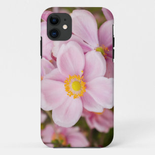 Flowers of Japanese anemone iPhone 11 Case
