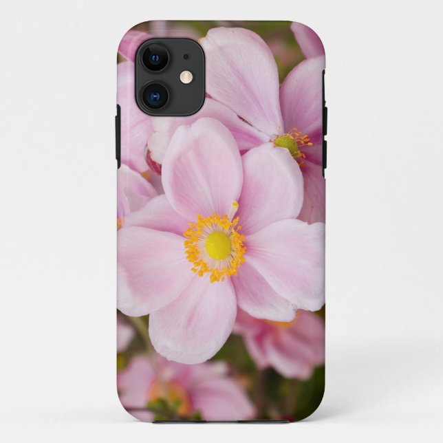 Flowers of Japanese anemone Case-Mate iPhone Case (Back)