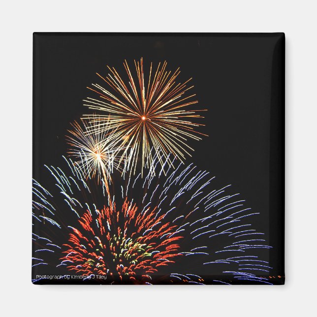 Flowers of Light Magnet (Front)