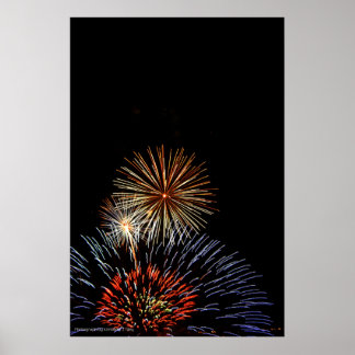 Flowers of Light Print