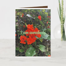 flowers of love from someone who cares. greeting