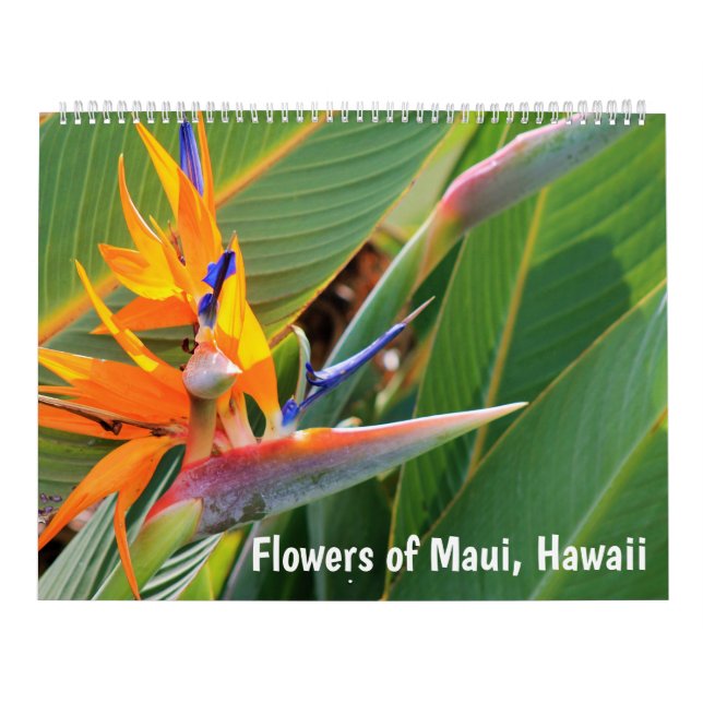 Flowers of Maui Hawaii Calendar (Cover)
