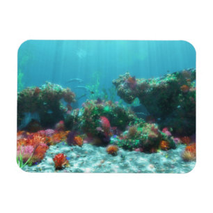 Flowers of the Sea Flexible Magnet