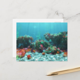 Flowers of the Sea Postcard