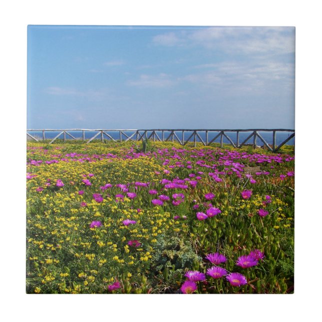 Flowers on Pandateria. Tile (Front)