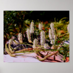 Flowers On Rock Oil Photo Painting Poster