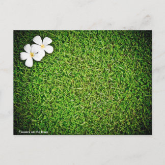 Flowers on the lawn postcard