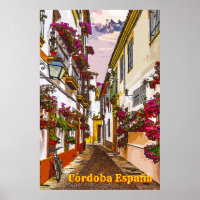 Flowers on the street. Cordoba, Andalusia, Spain.