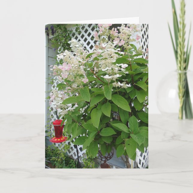 Flowers On Trellis & Hummingbird Feeder Card (Front)