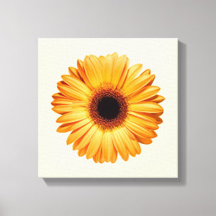 Flowers Orange Gerbera Canvas Print