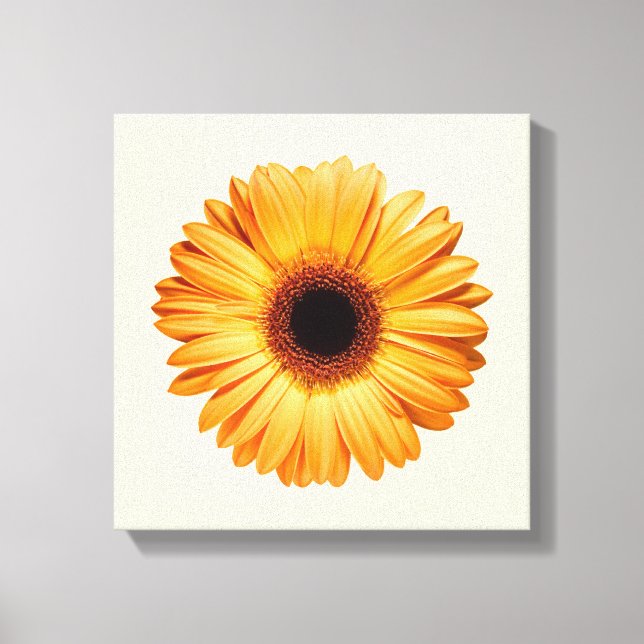 Flowers | Orange Gerbera Canvas Print (Front)