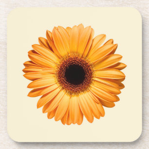 Flowers Orange Gerbera Coaster