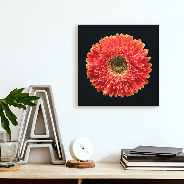 Flowers | Orange Gerbera Daisy Canvas Print (Creator Uploaded)