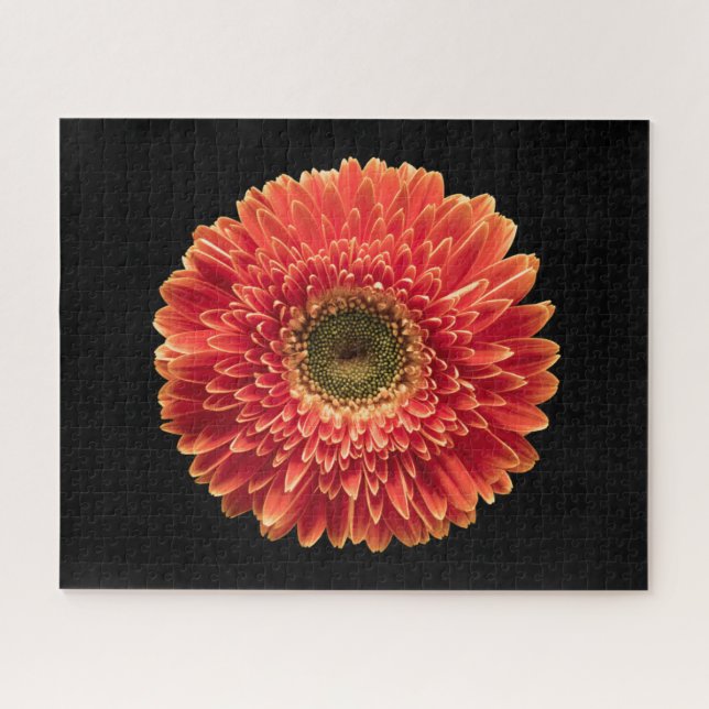 Flowers | Orange Gerbera Daisy Jigsaw Puzzle (Horizontal)
