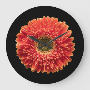 Flowers Orange Gerbera Daisy Large Clock
