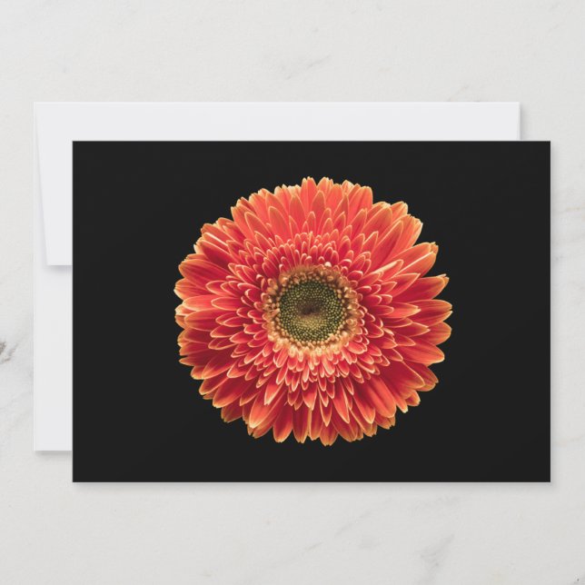 Flowers | Orange Gerbera Daisy Thank You Card (Front)